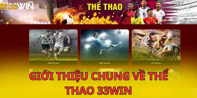 Giới thiệu chung về thể thao 33win